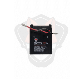 BATERIA YB2.5L-BS 12V 2.5A / Unidad